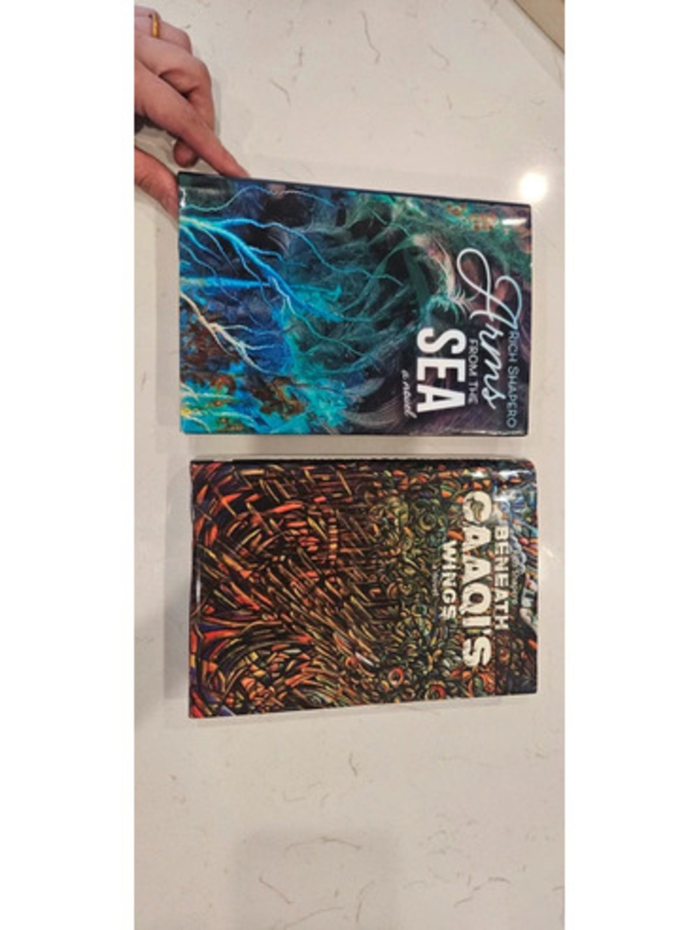 Two books by Rich Shapero hardback